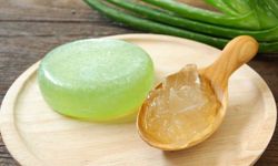 Aloe Vera Sabununun Faydaları Nelerdir?