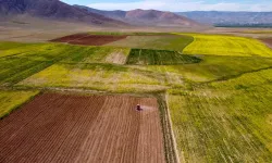 Ankara'da Dev Satış: Tarla Ve Üzerindeki Her Şey Mahkemeden Bu Rakama Satılacak