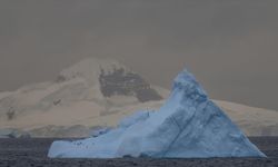 Antarktika Çözülüyor: Hektoria Buzulu Rekor Hızla Geriliyor