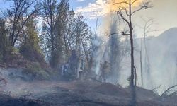 Artvin’de Bahçede Çıkan Yangın Ormana Sıçradı