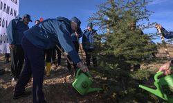 Bala’da PTT’den Anlamlı Etkinlik: 4 Bin 185 Fidan Toprakla Buluştu