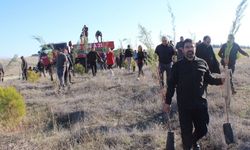 Beypazarı’nda 250 Fidan Toprakla Buluştu