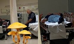 Bursa'da Mantar Zehirlenmesi: 7 Kişi Hastaneye Kaldırıldı