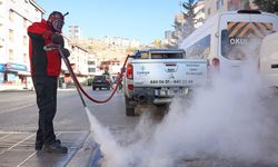 Çankaya’da Kışın da Haşere Mesaisi: İlaçlama Sürüyor