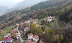 Mantar Toplamaya Çıkan Yaşlı Kadın Ormanda Ölü Bulundu