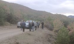 Çankırı’da Mantar Toplamaya Çıktı, Geri Dönmedi: Kayıp Kadın Aranıyor