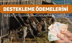 Çiftçiye 331 Milyon TL Destek: Hesaplara Yatıyor