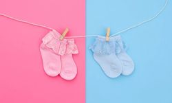 Cinsiyet ve Renk Seçimi Arasındaki Gizli Bağlantı Nedir?