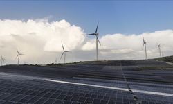 COP30’da Türkiye’nin Temiz Enerji Atılımına Övgü