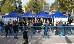 Çubuk’ta 5 Bin Çam Fidanı Vatandaşlara Ücretsiz Dağıtıldı