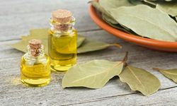 Defne Yağının Faydaları ve Kullanım Alanları