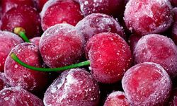 Dondurulmuş Kiraz Türkiye’den Dünyaya Açılıyor
