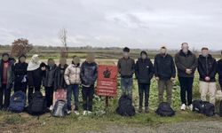 Edirne Sınırında 29 Kaçak Göçmen Gözaltına Alındı