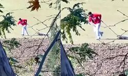 Edirne’de Köpeğe İşkence: Soruşturma Başlatıldı