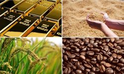 Emtia Piyasası Dalgalı: Kahve Tarihi Zirveyi Gördü, Şeker Düştü