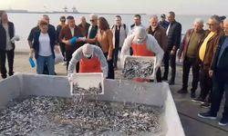 Ereğli Hamsi Festivali’nde 10 Ton Balık Dağıtıldı: Sahil Şenlik Alanına Döndü