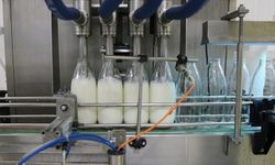 Eylül Süt Üretimi Yüzde 1,7 Azaldı