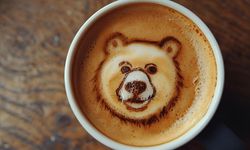 Falda Ayı Görmek Ne Anlama Gelir?