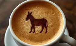 Falda Eşek Görmek Ne Anlama Gelir?