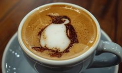 Falda Penguen Görmek Ne Anlama Gelir?