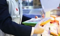 Gıda Denetimlerinde İşletmelere Ceza Yağdı: 157 Milyon TL