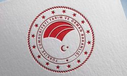 Gıda Zehirlenmesi Alarmı: Bakanlıklar Uyarıyor, Denetimler Artıyor