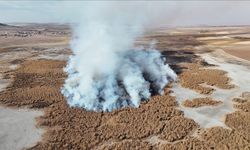 “Kuş Cenneti” Gökgöl İki Gündür Yangınla Mücadele Ediyor