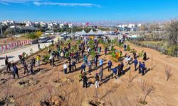 Gölbaşı’nda Ağaçlandırma Etkinliği: 1000 Fidan Dikildi