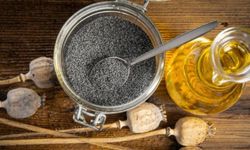Haşhaş Yağının Faydaları ve Olası Yan Etkileri Nelerdir?