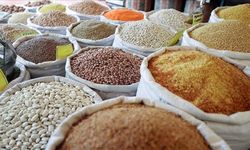 Güneydoğu’nun Hububat İhracatı Arttı, Irak Pazarındaki Düşüş Endişelendirdi