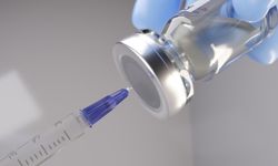 ABD’de H5N5 Şüphesi Endişe Yarattı: Bir Kişi Yaşamını Yitirdi