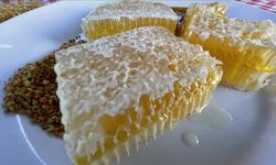 Yenice’nin Meşhur Ihlamur Balı AB Listesine Girdi