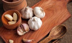 İnsanlık Yok Olursa Sarımsak Neden Tükenir?
