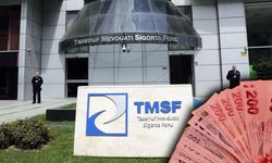 Investco Holding ve Hat Holding'e Kayyum Atandı: INVES, VERTU ve VERUS Hisse Taban Oldu!