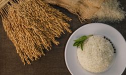 İpsala Pirinci Avrupa’da Tescillendi