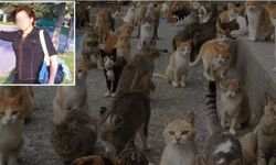 İzmir’de Hayvan Koruma Derneği Kurucusu ile 30 Kedi Yangında Öldü