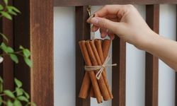 Japonya’da Kapılara Tarçın Asma Geleneğinin Sebebi Nedir?