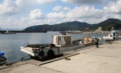 Japonya Oita’da Büyük Yangın: 170 Bina Hasar Gördü