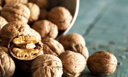 Kabuklu Ceviz Muhafaza Edilir? En Etkili Yöntemler