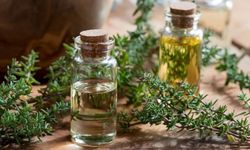 Kekik Yağının Faydaları ve Kullanım Alanları