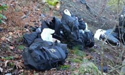 Kırklareli’nde Kaçak Göçmenleri Taşıyan Araç Kontrolden Çıktı: 8 Yaralı