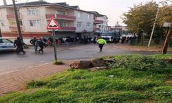 Kocaeli Gebze’de Çöp Kamyonunun Altında Kalarak Can Verdi