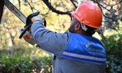 Mamak Belediyesi’nden Ağaç Budama Seferberliği
