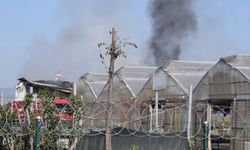 Manisa Şehzadeler’de Belediyeye Ait Serada Yangın Çıktı