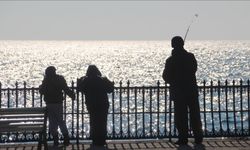 Meteoroloji: Bu Kış Mevsim Normallerinin Üzerinde Sıcaklık Bekleniyor