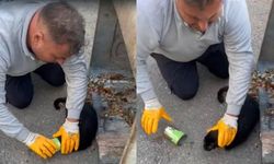 Muğla’da Konserve Kutusuna Sıkışan Kedi Kurtarıldı