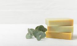 Okaliptüs Sabununun Faydaları Nelerdir? Nasıl Kullanılır?