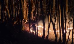 Ordu’da Örtü Yangını Alarmı: Ekipler ve Halk Seferber Oldu