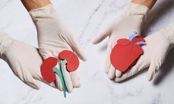 Organ Bağışı Nedir, Nasıl Yapılır? Neden Önemli?