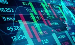 PAHOL Hisse İşlem Tarihi Belli Oldu: Geri Alım Taahhüdü Var mı?